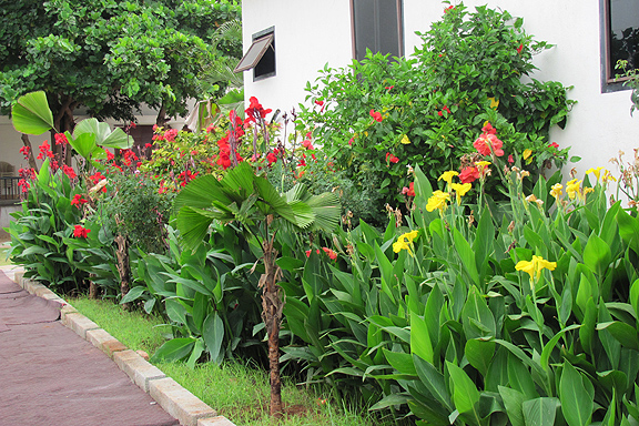 Namakkal Flowers